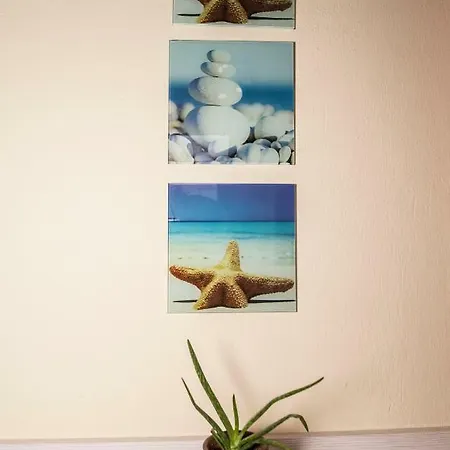 Dionisos Blue باراليا ديونيسيو